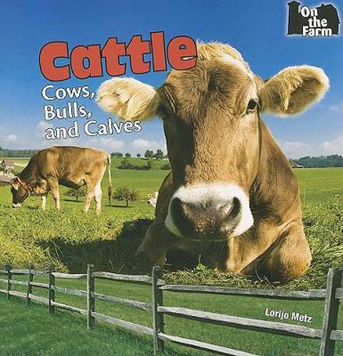 Cover image for Cattle