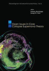 Cover image for Open Issues In Core Collapse Supernova Theory