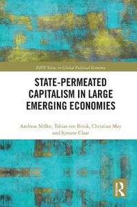 Cover image for State-permeated Capitalism in Large Emerging Economies