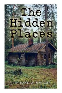 Cover image for The Hidden Places: Post-World War I Novel