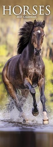 Cover image for Horses Slim Calendar 2025 Horses Slimline Calendar - 12 Month