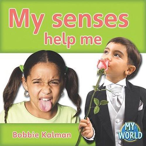 Cover image for My Senses Help Me