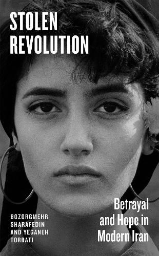 Cover image for Stolen Revolution
