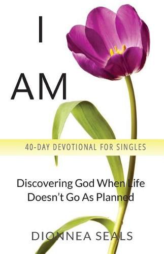 Cover image for I Am: Discovering God When Life Doesn't Go As Planned