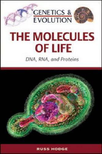 Cover image for The Molecules of Life: DNA, RNA and Proteins