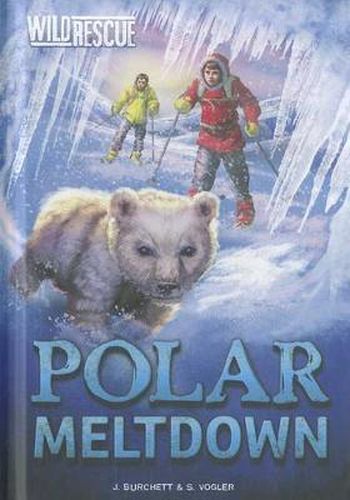 Polar Meltdown