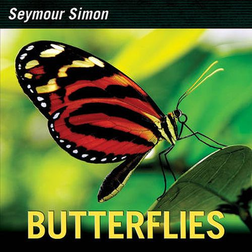 Cover image for Butterflies