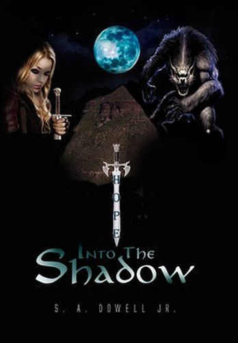 Cover image for Into the Shadow