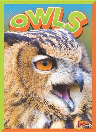 Cover image for Owls