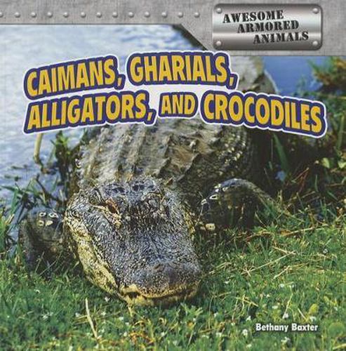 Cover image for Caimans, Gharials, Alligators, and Crocodiles