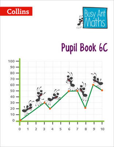 Cover image for Pupil Book 6C