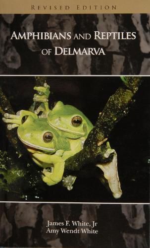 Cover image for Amphibians and Reptiles of Delmarva