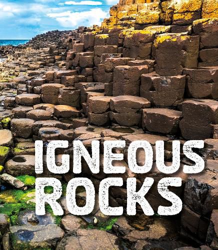 Cover image for Igneous Rocks