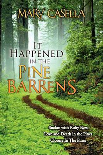 Cover image for It Happened in the Pine Barrens