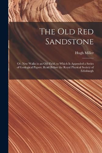 Cover image for The Old Red Sandstone