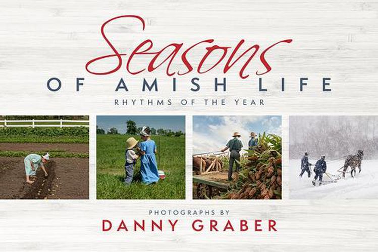 Cover image for Seasons of Amish Life: Rhythms of the Year