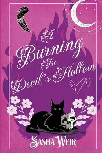 Cover image for A Burning In Devil's Hollow