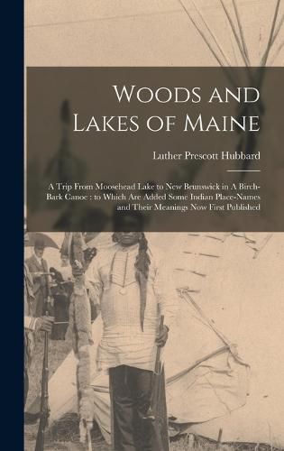 Cover image for Woods and Lakes of Maine