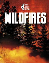 Cover image for Wildfires