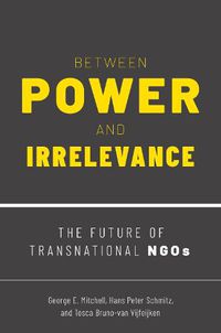 Cover image for Between Power and Irrelevance: The Future of Transnational NGOs