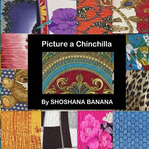 Cover image for Picture a Chinchilla