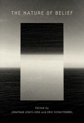 Cover image for The Nature of Belief