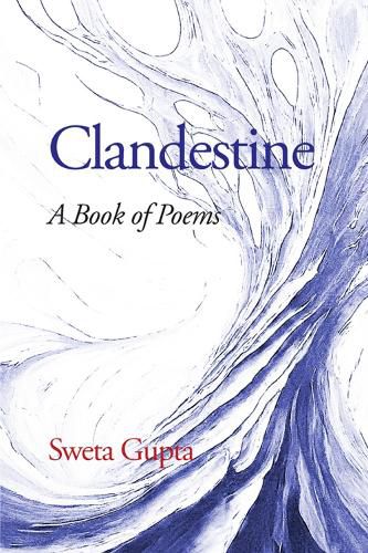 Cover image for Clandestine