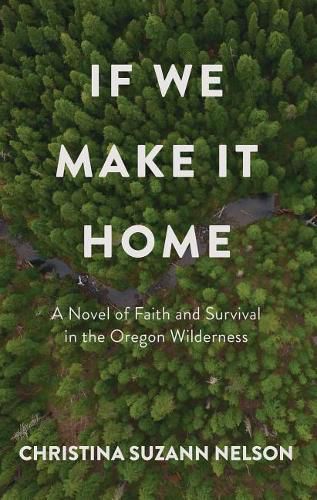 If We Make It Home: A Novel of Faith and Survival in the Oregon Wilderness