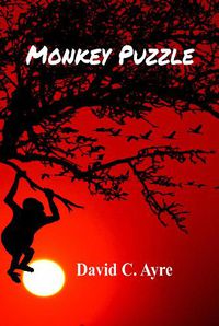 Cover image for Monkey Puzzle