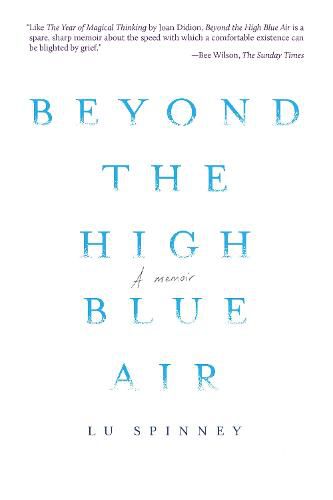 Cover image for Beyond the High Blue Air: A Memoir