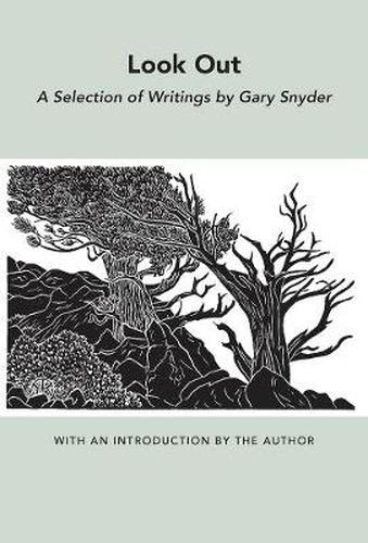 Cover image for Look out: A Selection of Writings