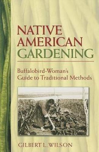 Cover image for Native American Gardening: Buffalobird-Woman's Guide to Traditional Methods