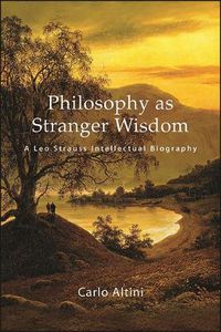 Cover image for Philosophy as Stranger Wisdom