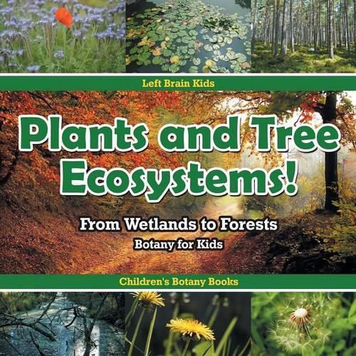 Cover image for Plants and Tree Ecosystems! From Wetlands to Forests - Botany for Kids - Children's Botany Books