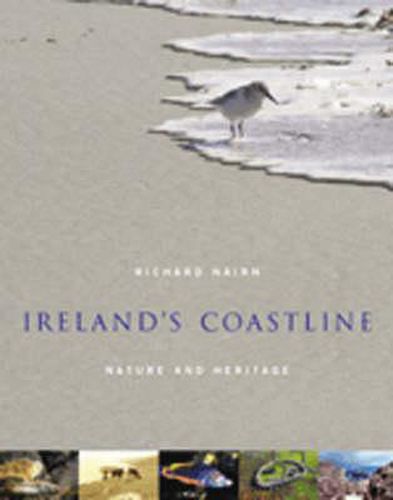 Cover image for Ireland's Coastline: Exploring it's Nature and Heritage