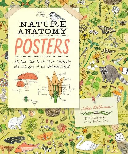 Cover image for Nature Anatomy Posters