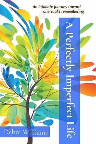 Cover image for A Perfectly Imperfect Life