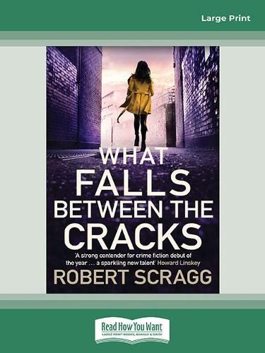 Cover image for What Falls Between the Cracks: Porter & Styles Series