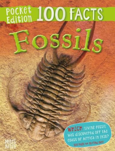 Cover image for 100 Facts Fossils Pocket Edition