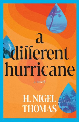 Cover image for A Different Hurricane