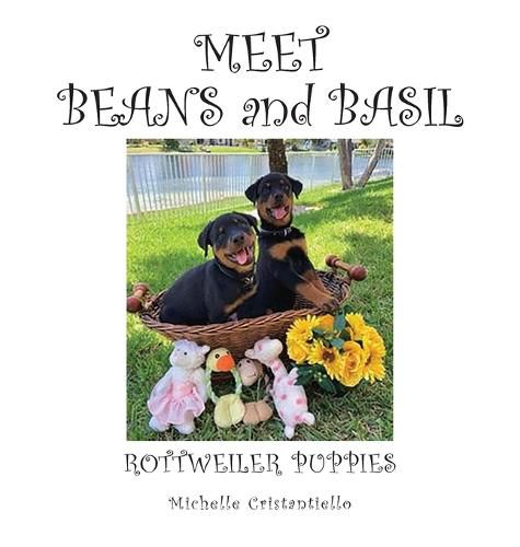 Cover image for Meet Beans and Basil