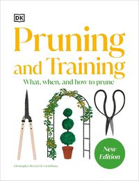 Cover image for Pruning and Training