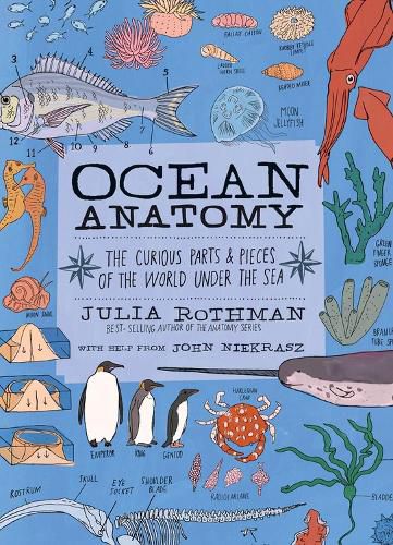 Cover image for Ocean Anatomy: The Curious Parts & Pieces of the World Under the Sea