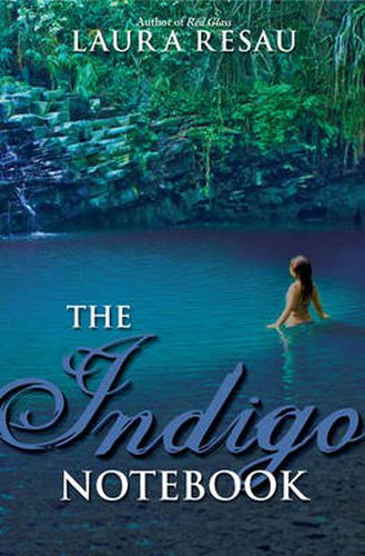 Cover image for The Indigo Notebook