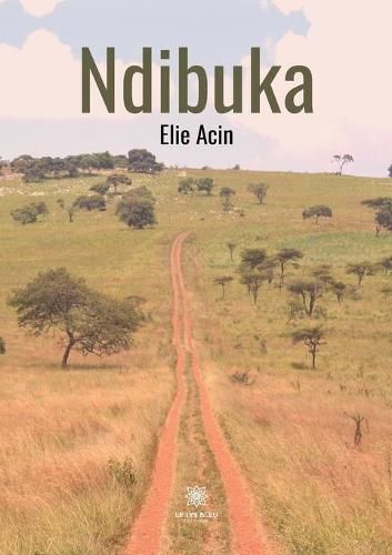 Cover image for Ndibuka