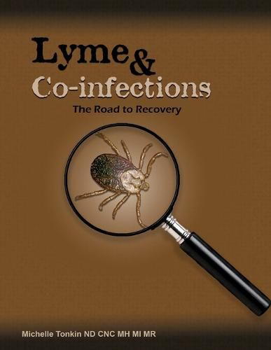 Cover image for Lyme and Co-infections, the Road to Recovery