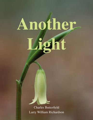 Cover image for Another Light