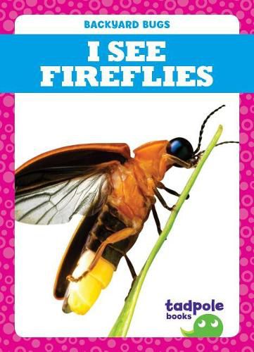 Cover image for I See Fireflies