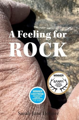 Cover image for A Feeling for Rock