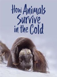 Cover image for How Animals Survive in the Cold: English Edition